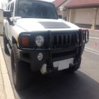 Grille Guard