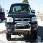 Grille Guard