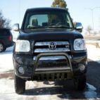 Grille Guard