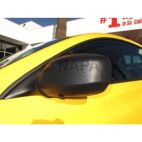 Door Mirror Cover