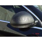 Door Mirror Cover