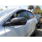 Door Mirror Cover