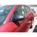 Door Mirror Cover