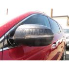 Door Mirror Cover