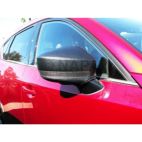 Door Mirror Cover