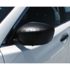 Door Mirror Cover