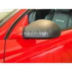 Door Mirror Cover