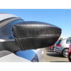Door Mirror Cover