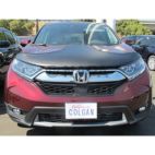 Grille / Hood Scoop / Bumper Cover Kit