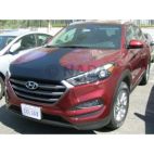 Grille / Hood Scoop / Bumper Cover Kit