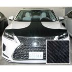 Grille / Hood Scoop / Bumper Cover Kit