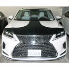 Grille / Hood Scoop / Bumper Cover Kit