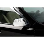 Door Mirror Cover