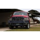 Grille Guard