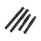 Shock Absorber Set