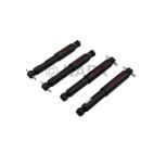 Shock Absorber Set