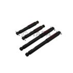 Shock Absorber Set