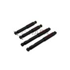 Shock Absorber Set