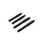 Shock Absorber Set