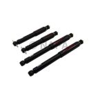 Shock Absorber Set