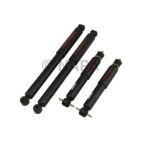 Shock Absorber Set