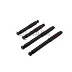 Shock Absorber Set