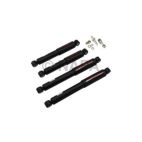Shock Absorber Set