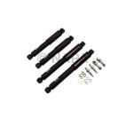 Shock Absorber Set