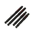 Shock Absorber Set