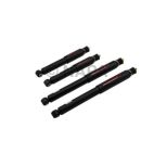 Shock Absorber Set