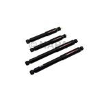 Shock Absorber Set