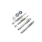 Shock Absorber Set