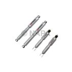 Shock Absorber Set