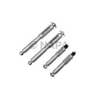 Shock Absorber Set