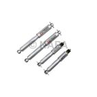 Shock Absorber Set