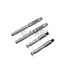 Shock Absorber Set