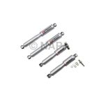 Shock Absorber Set