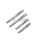 Shock Absorber Set