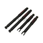 Shock Absorber Set
