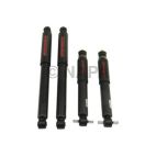 Shock Absorber Set