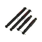 Shock Absorber Set