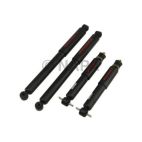 Shock Absorber Set