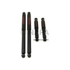 Shock Absorber Set
