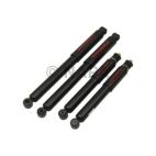 Shock Absorber Set