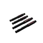 Shock Absorber Set