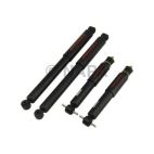 Shock Absorber Set