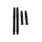 Shock Absorber Set