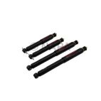 Shock Absorber Set