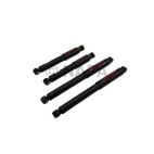 Shock Absorber Set