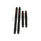 Shock Absorber Set